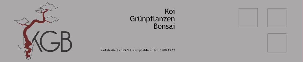 KGB - Koi, Grnpflanzen und Bonsai in Ludwigsfelde (bei Berlin)